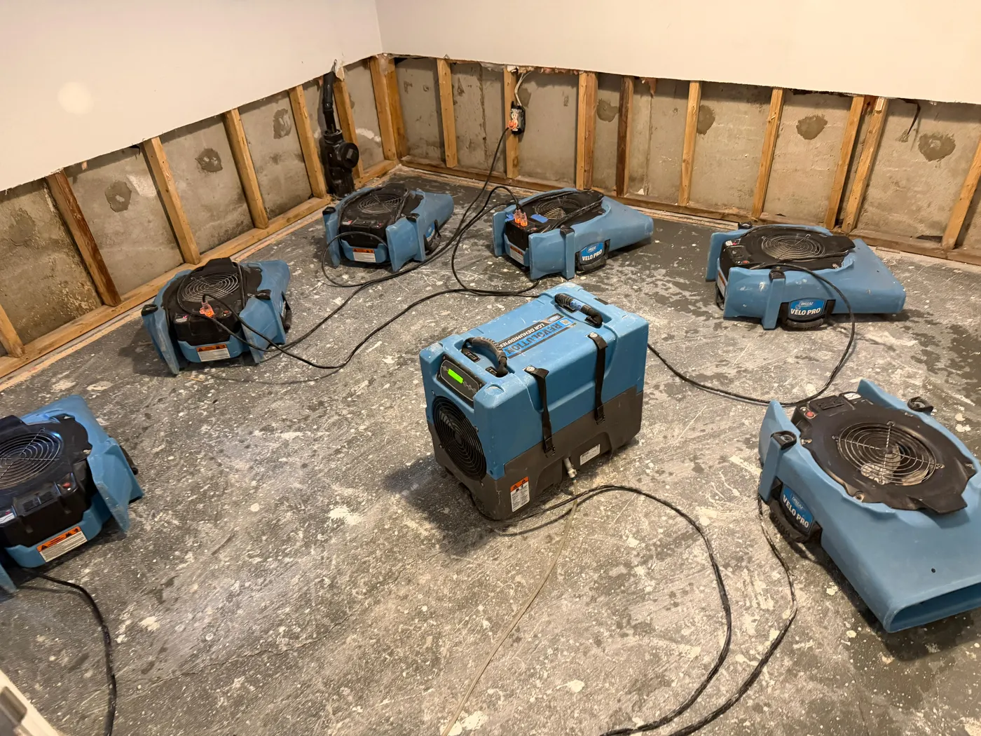 Six air movers and an LGR dehumidifier running on a bare concrete basement floor, with the drywall cut away to expose the studs and foundation wall