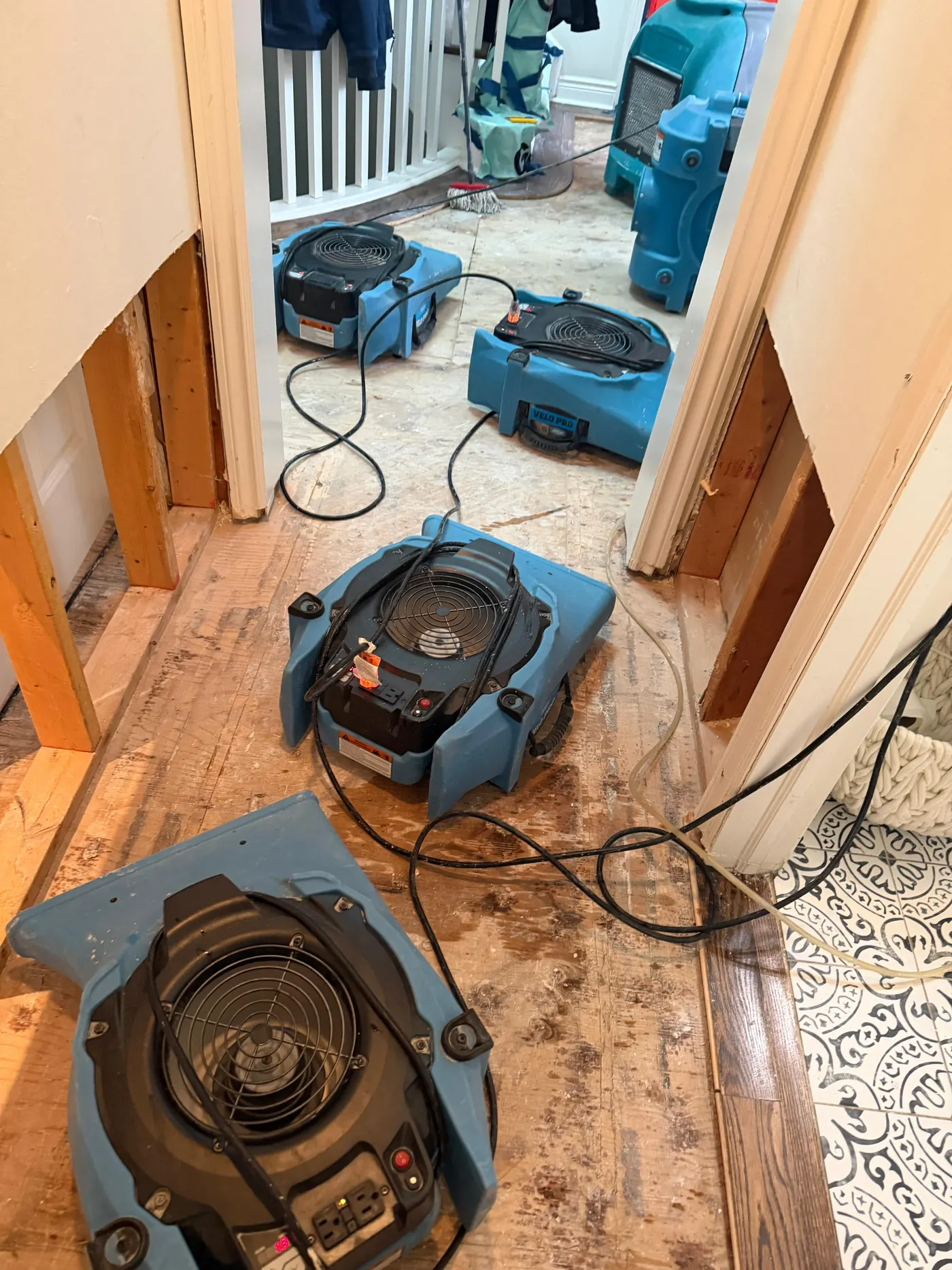 Two air movers running in a hallway where the drywall has been cut away at the base, exposing wall studs, with a dehumidifier working in the room beyond