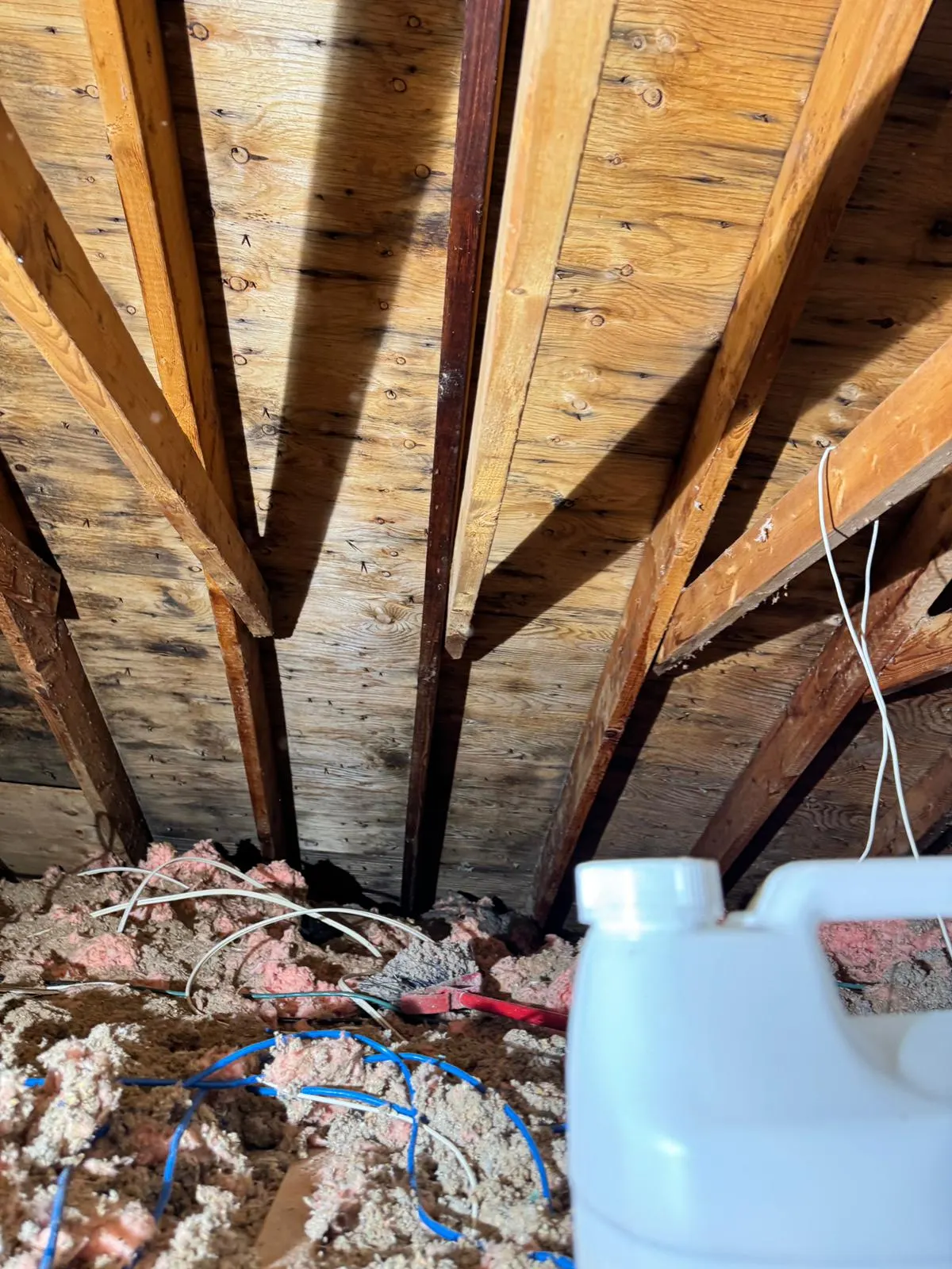 Underside of attic roof sheathing showing dark mold staining across the boards, with blown insulation and wiring on the attic floor below